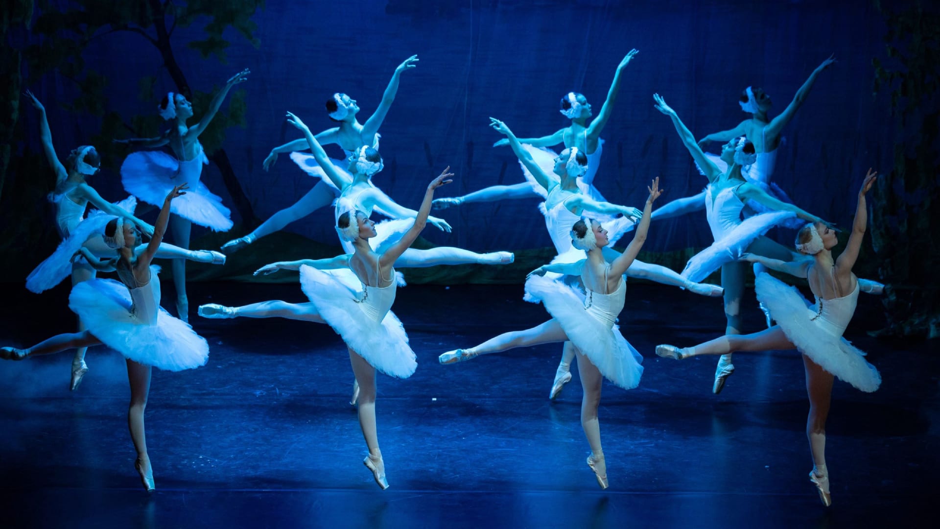 Swan Lake Tickets Princess Theatre Torquay In Torquay ATG Tickets swan-lake-tickets-princess-theatre-torquay-in-torquay-atg-tickets
